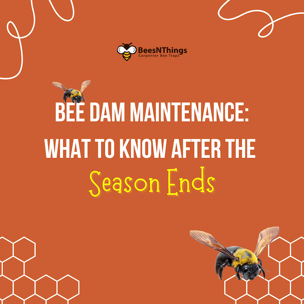 Bee Dam Maintenance: What to Know After the Season Ends