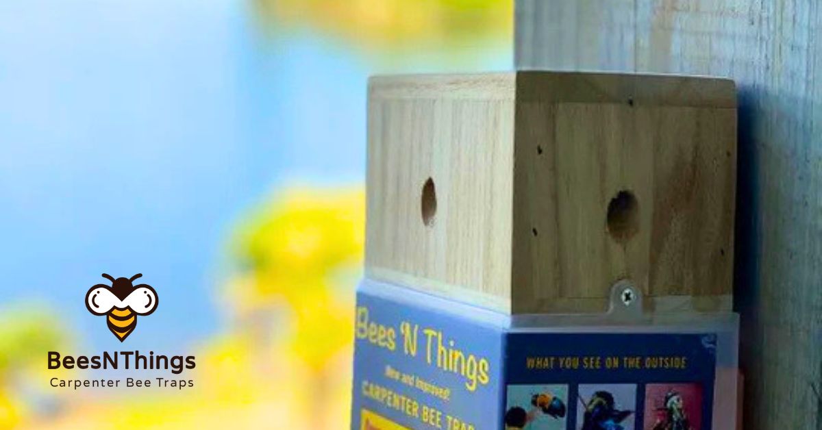 Step‑by‑Step Guide to Using a Carpenter Bee Removal Kit