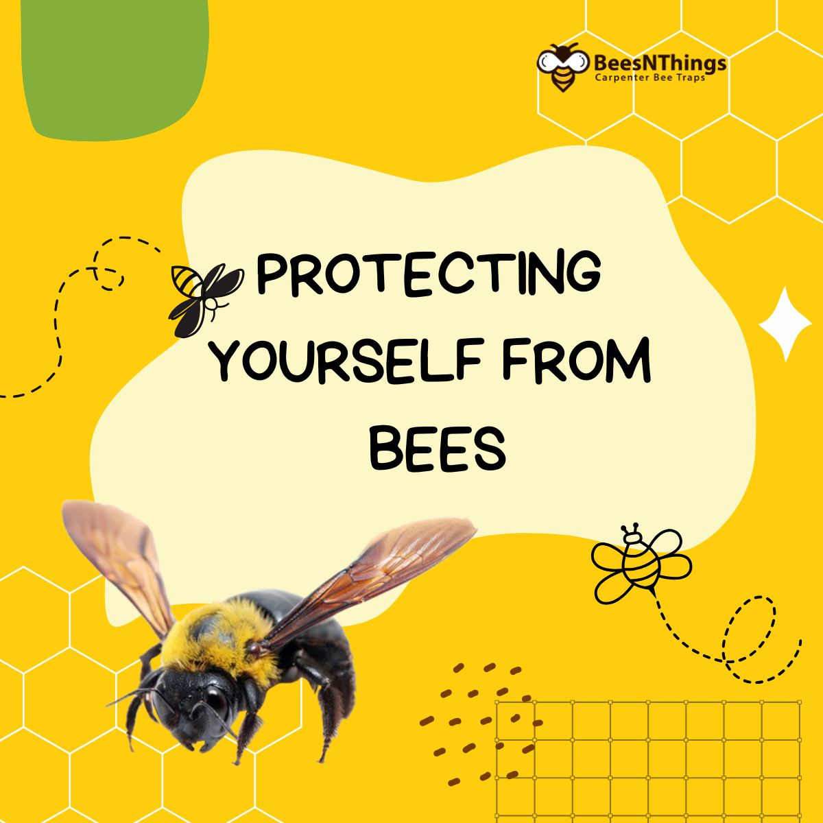 Avoid Stings By Learning Bee Behavior